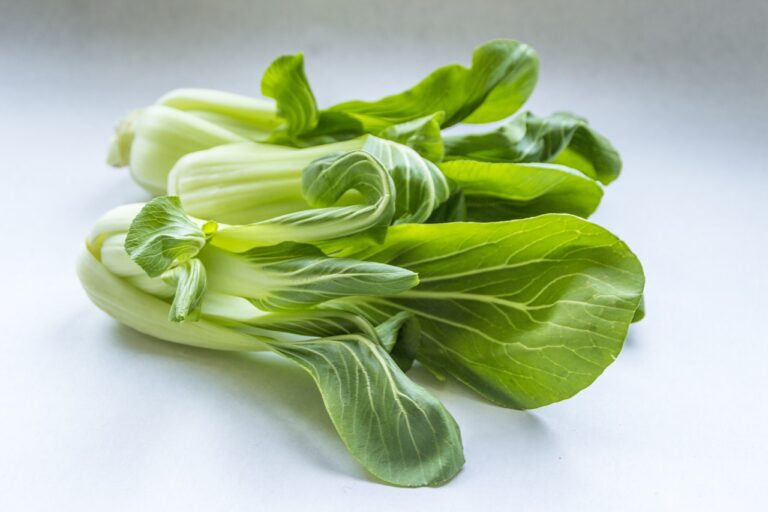 Jak používat zeleninu pak choi?