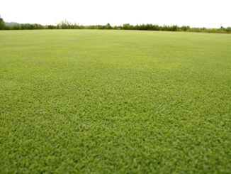 Jak si poradit s rozsáhlou trávníkovou plochou