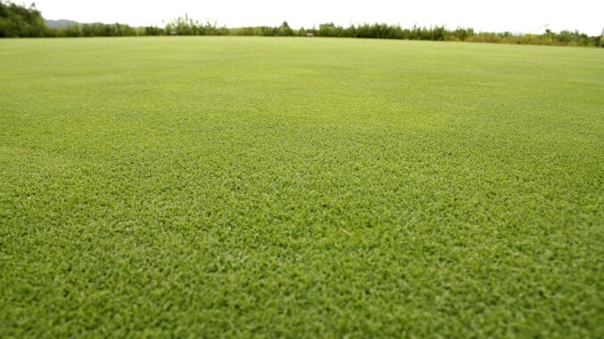 travnikova-plocha Jak si poradit s rozsáhlou trávníkovou plochou