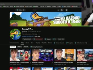 youtube dodo příjmy