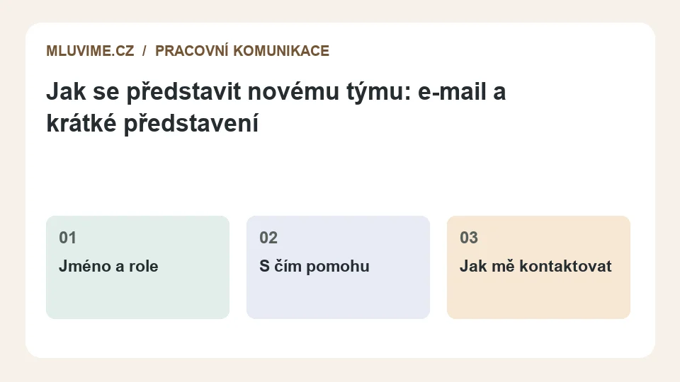Schéma: Jméno a role, S čím pomohu, Jak mě kontaktovat.
